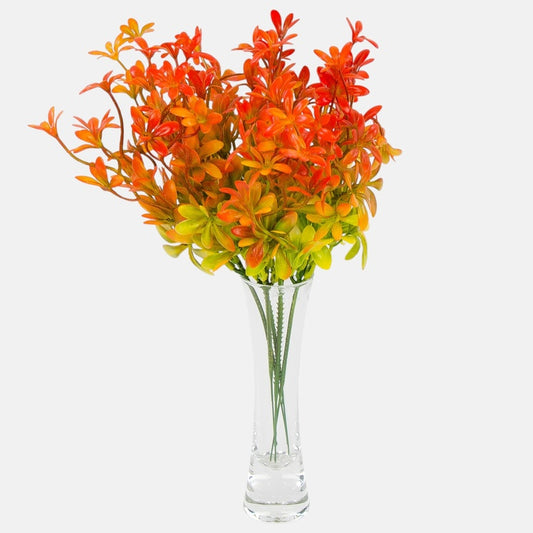 Sedum Oranssi - Tekokukat.fi