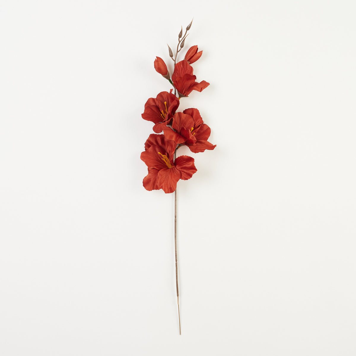 Ruskea gladiolus – tekokukka, satiini, 12 kpl