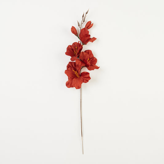 Ruskea gladiolus – tekokukka, satiini, 12 kpl