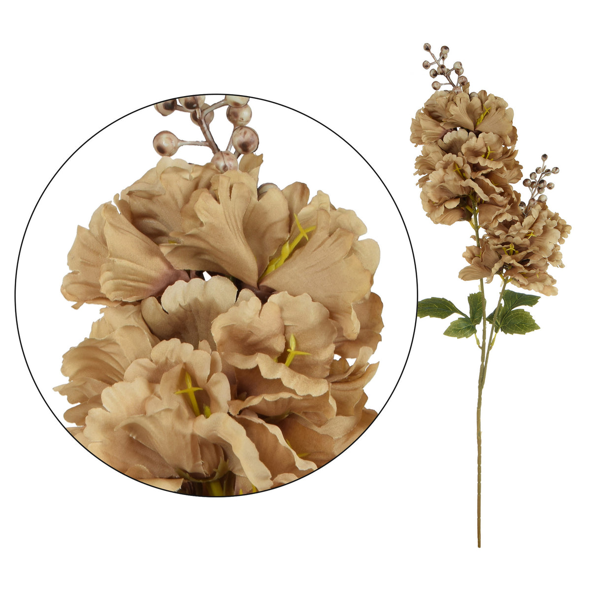 Ruskea tekohortensian kukkavarsi, 85 cm