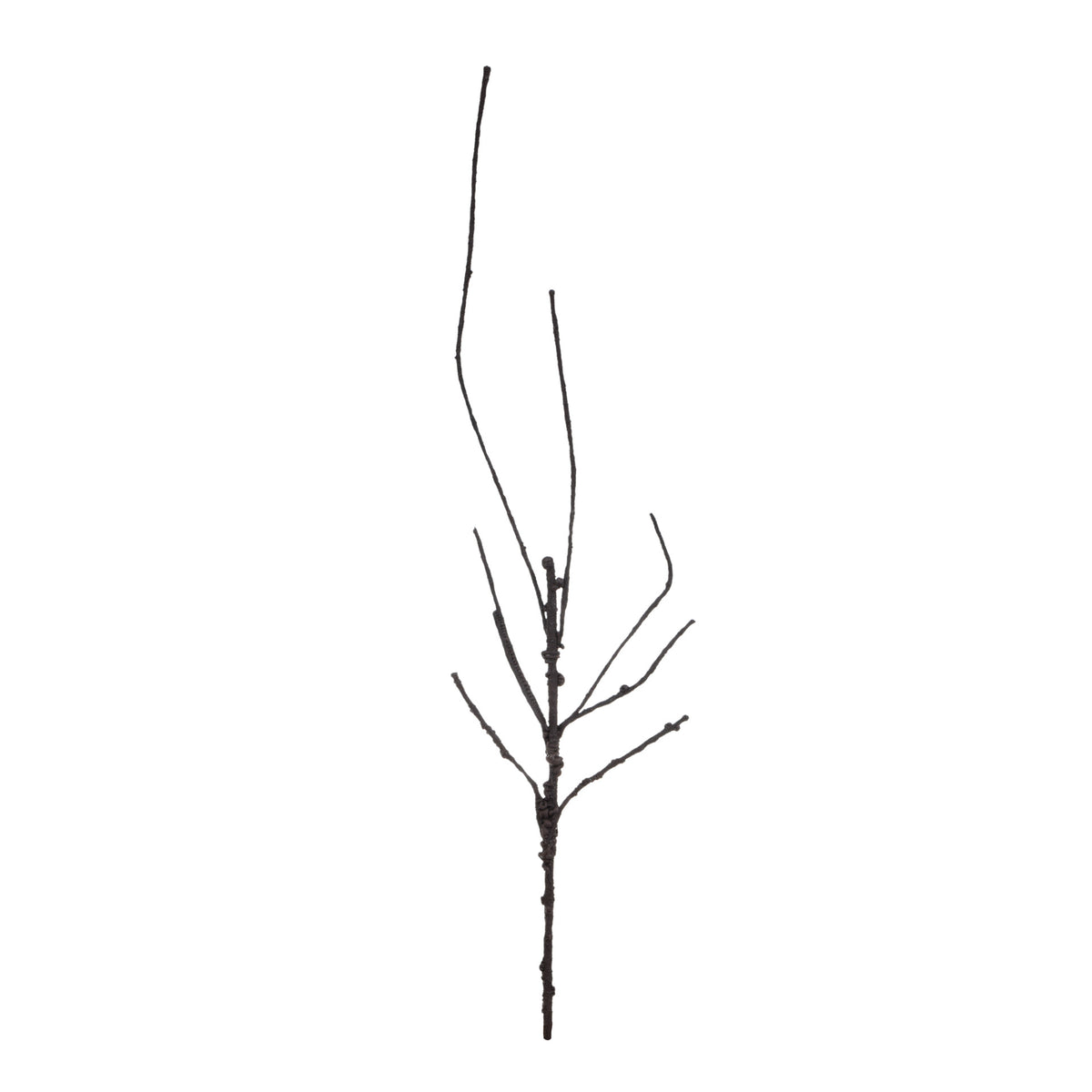 Ruskea tekokasvi, 60 cm