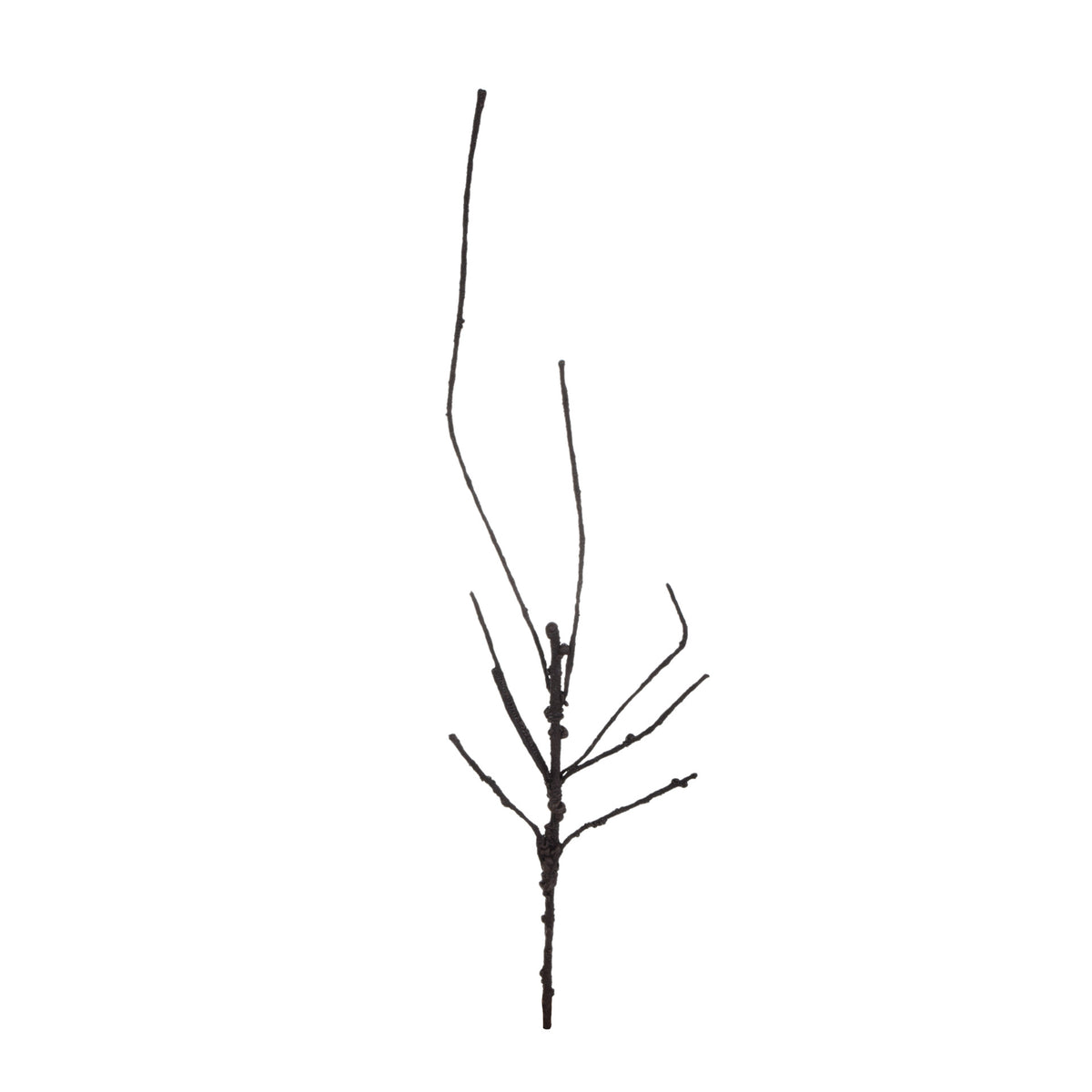 Ruskea tekokasvi, 60 cm