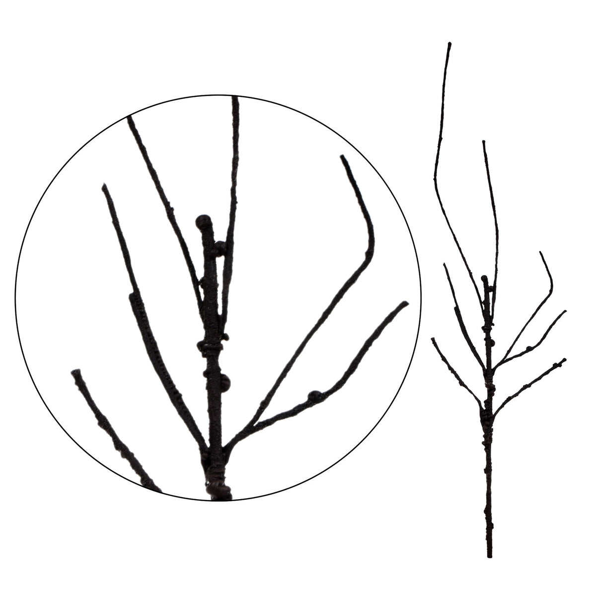 Ruskea tekokasvi, 60 cm