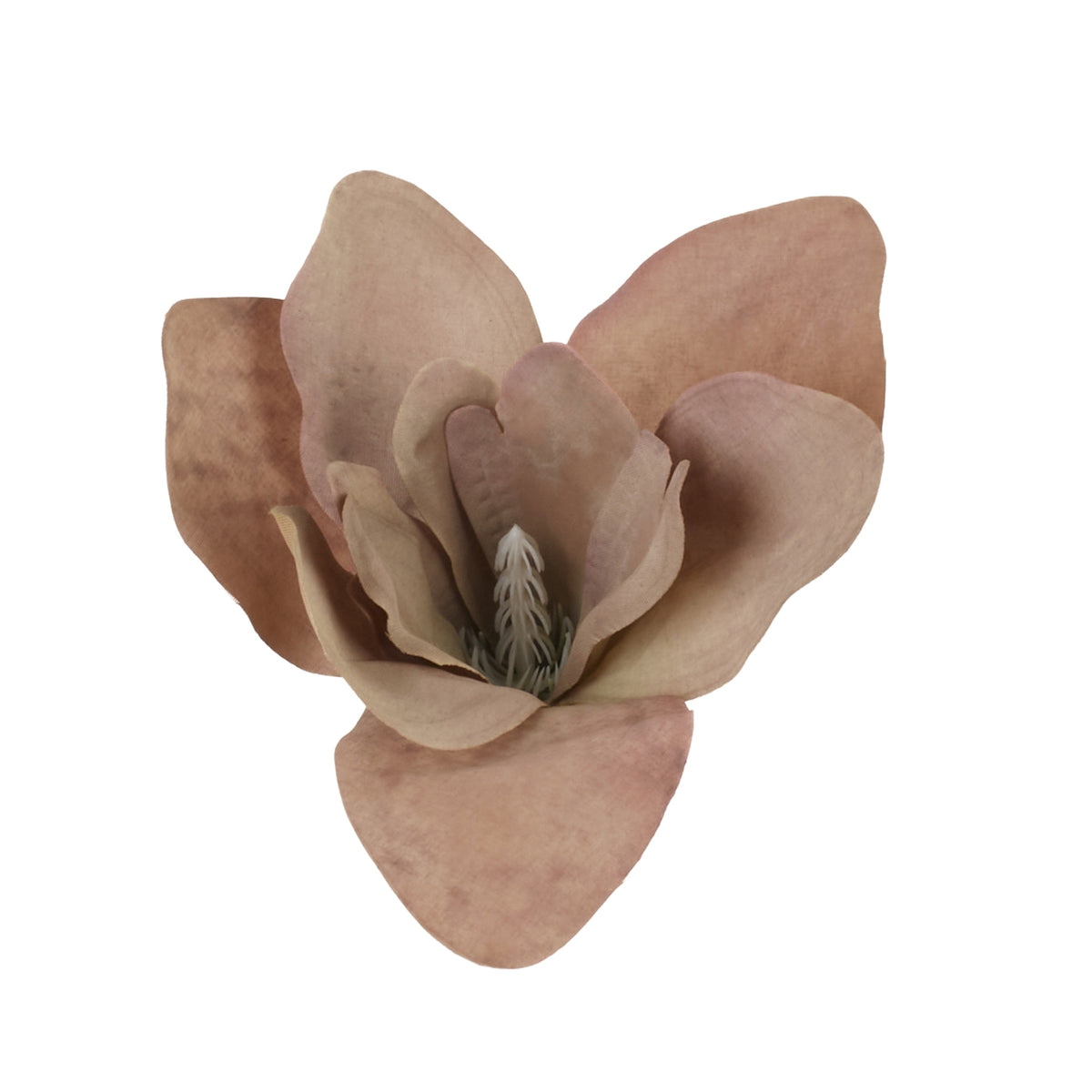 Ruskea tekoorkidean kukkapää, 13 cm
