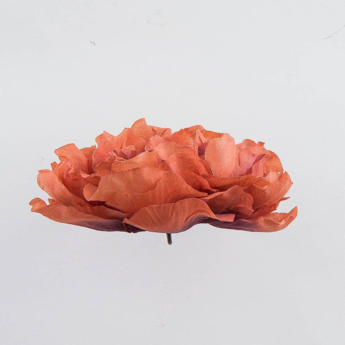 Ruskea tekopionin kukkapää, 5 cm, 12 kpl
