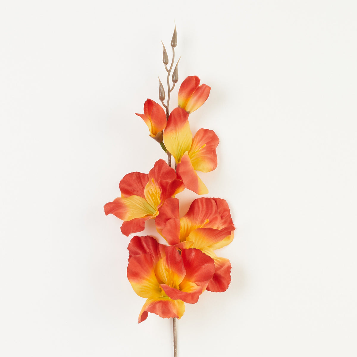 Ruskea/vihreä gladiolus – tekokukka, satiini, 12 kpl