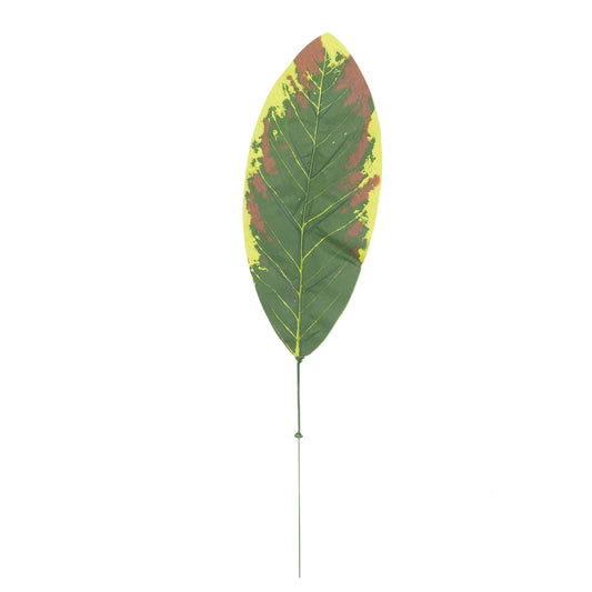 Sammal – tekolehti, 49 cm, 12 kpl