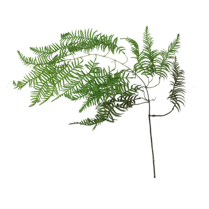 Saniainen – tekoköynnös, 105 cm