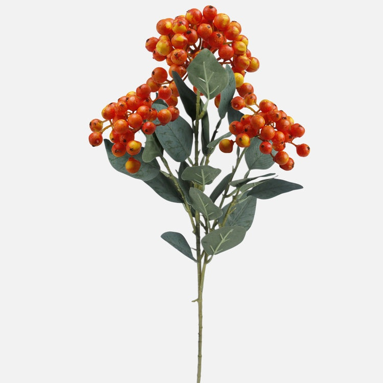 Marjasuihke Oranssi - Tekokukat.fi