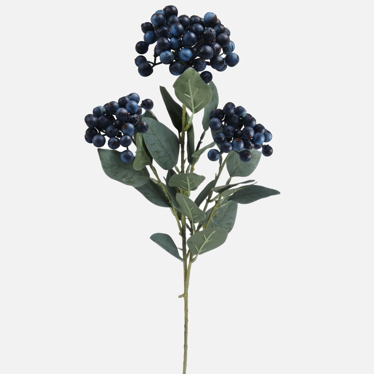 Marjasuihke Sininen - Tekokukat.fi