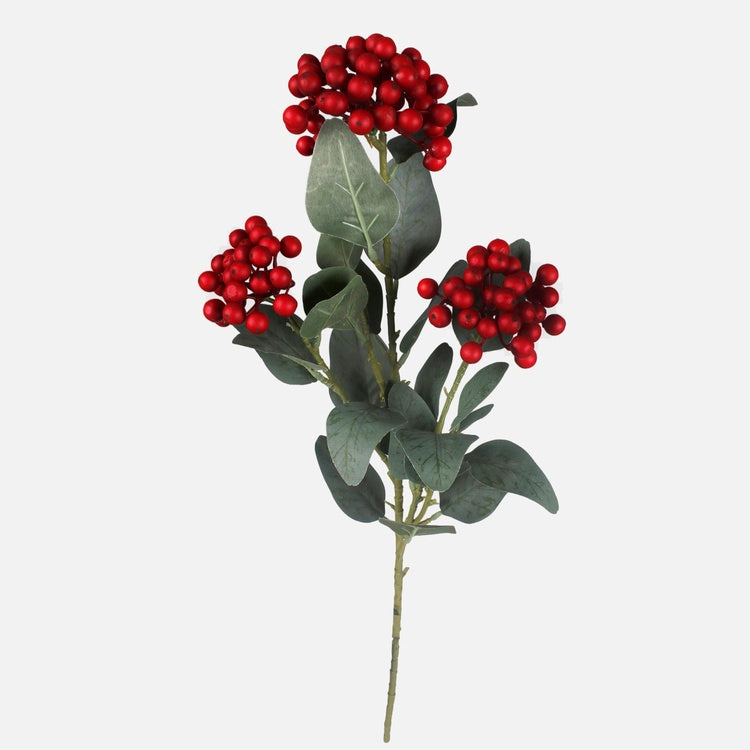 Marjasuihke Punainen - Tekokukat.fi