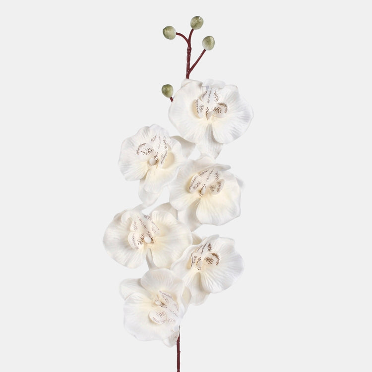 Satiini orkidea tekokukka kerma - Tekokukat.fi