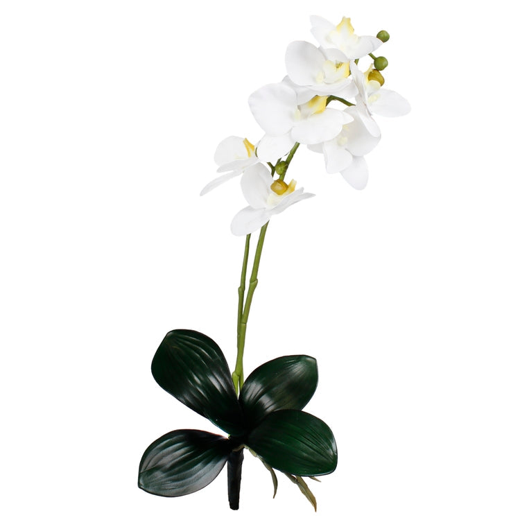 Orkidea tekokukka kerma - Tekokukat.fi