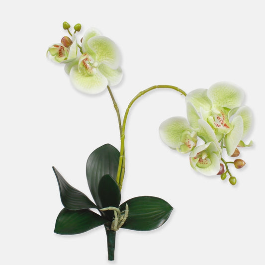 Orkidea tekokukka vaaleanvihreä - Tekokukat.fi