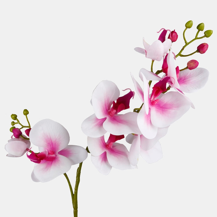 Orkidea tekokukka pinkki/valkoinen - Tekokukat.fi
