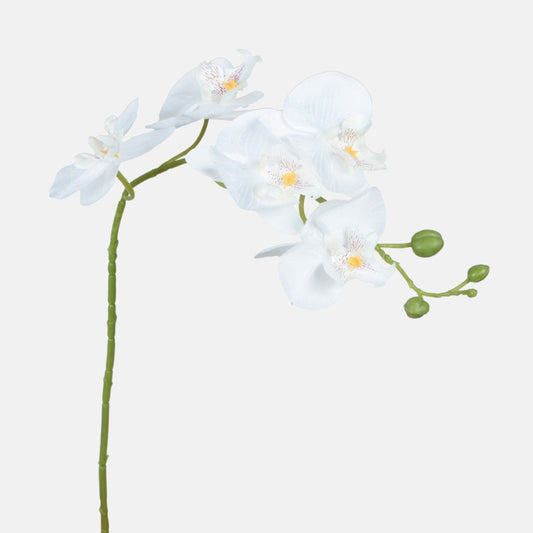 Orkidea Kerma - Tekokukat.fi