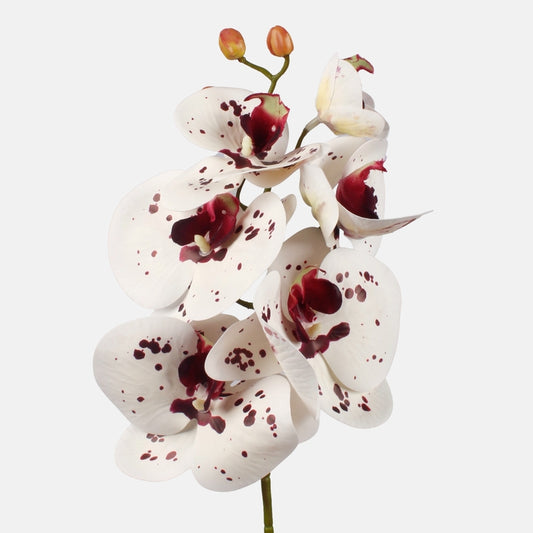 Orkidea Valkoinen/burgundi - Tekokukat.fi