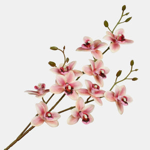 Syksyinen vaaleanpunainen