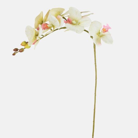 Orkidea Luutnantti Green - Tekokukat.fi