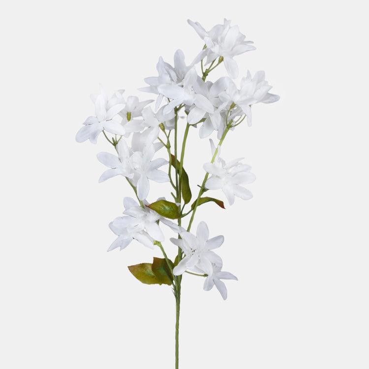 Orkidea Kerma - Tekokukat.fi