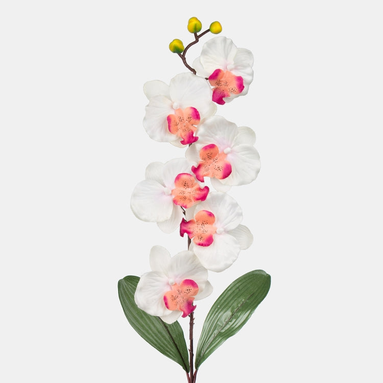 Orkidea tekokukka kerma/burgundy - Tekokukat.fi