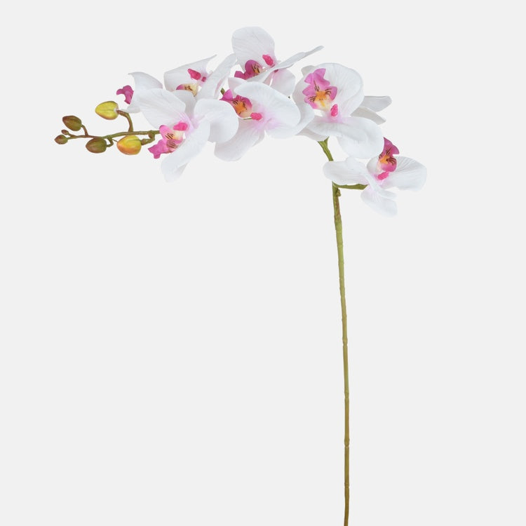 Orkidea Valkoinen/violetti - Tekokukat.fi