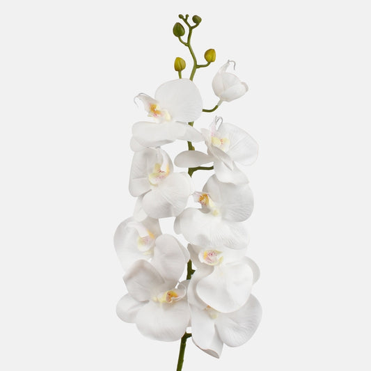 Orkidea Valkoinen - Tekokukat.fi