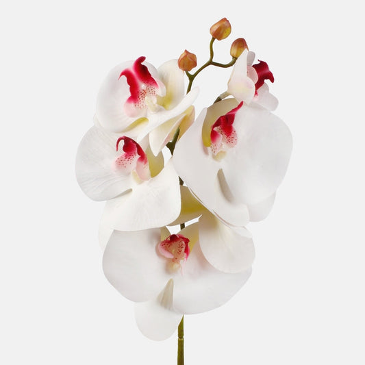 Orkidea tekokukka kerma - Tekokukat.fi