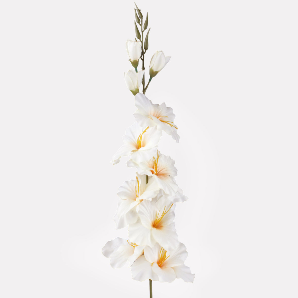 Syksyinen kerma gladiolus – tekokukka, satiini, 78 cm