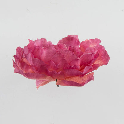 Syksyinen malva tekopionin kukkapää, 5 cm, 12 kpl