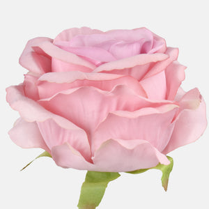 Syksyinen Malva
