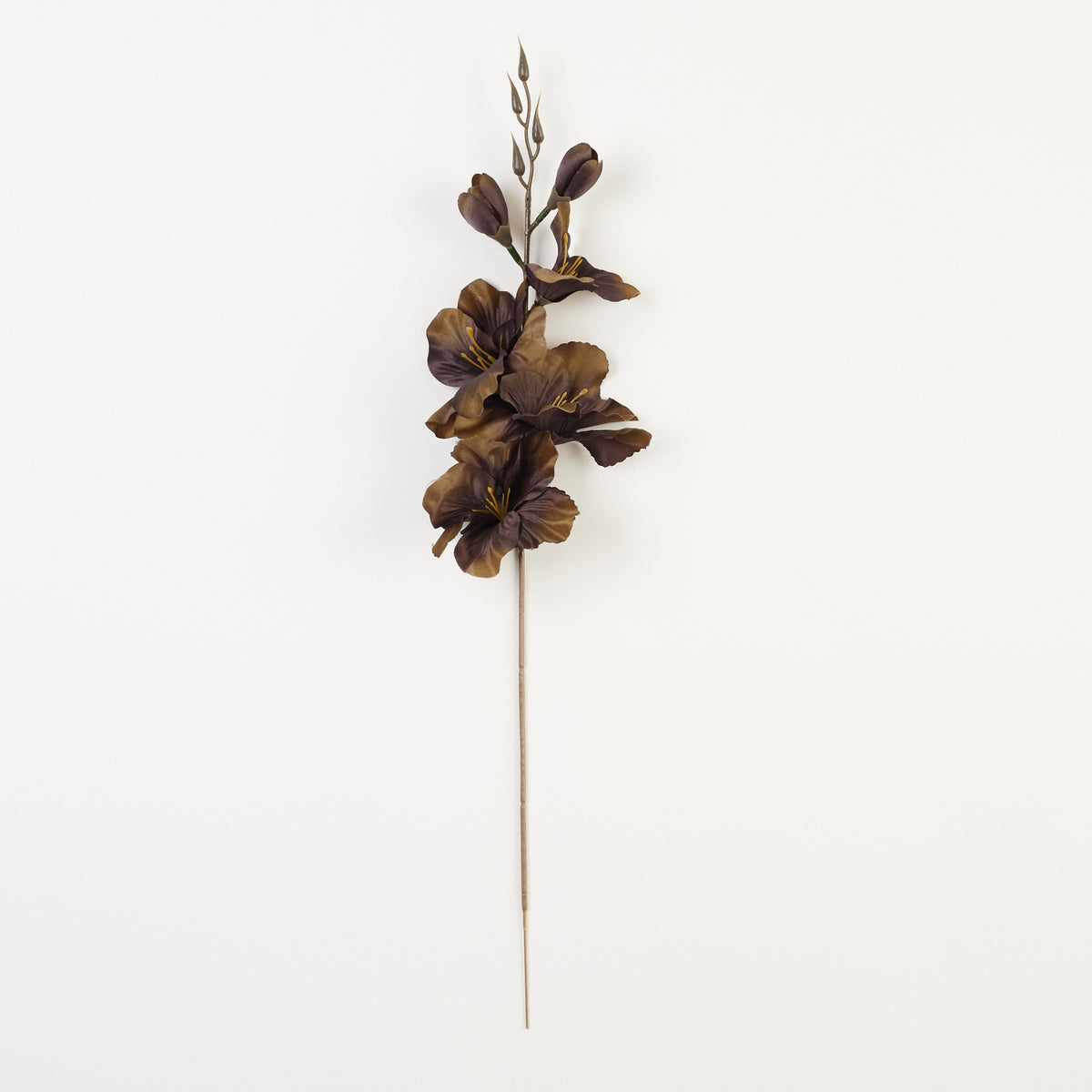 Syksyinen ruskea gladiolus – tekokukka, satiini, 12 kpl