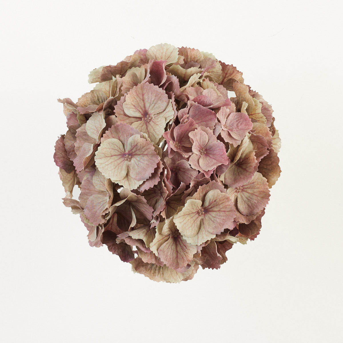 Syksyinen/vihreä/violetti/ruskea tekohortensian kukkapää, 21 cm