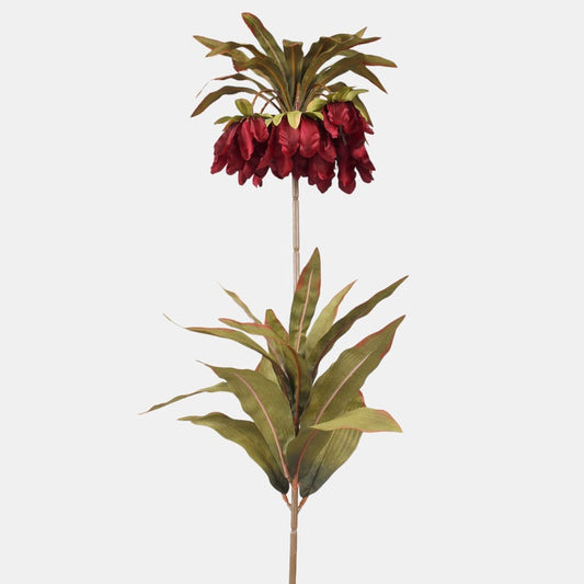 Imperiumin kruunu tekokukka burgundia - Tekokukat.fi