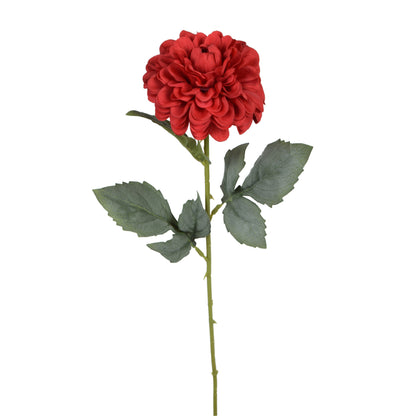 Tekodaalian kukkavarsi, 50 cm