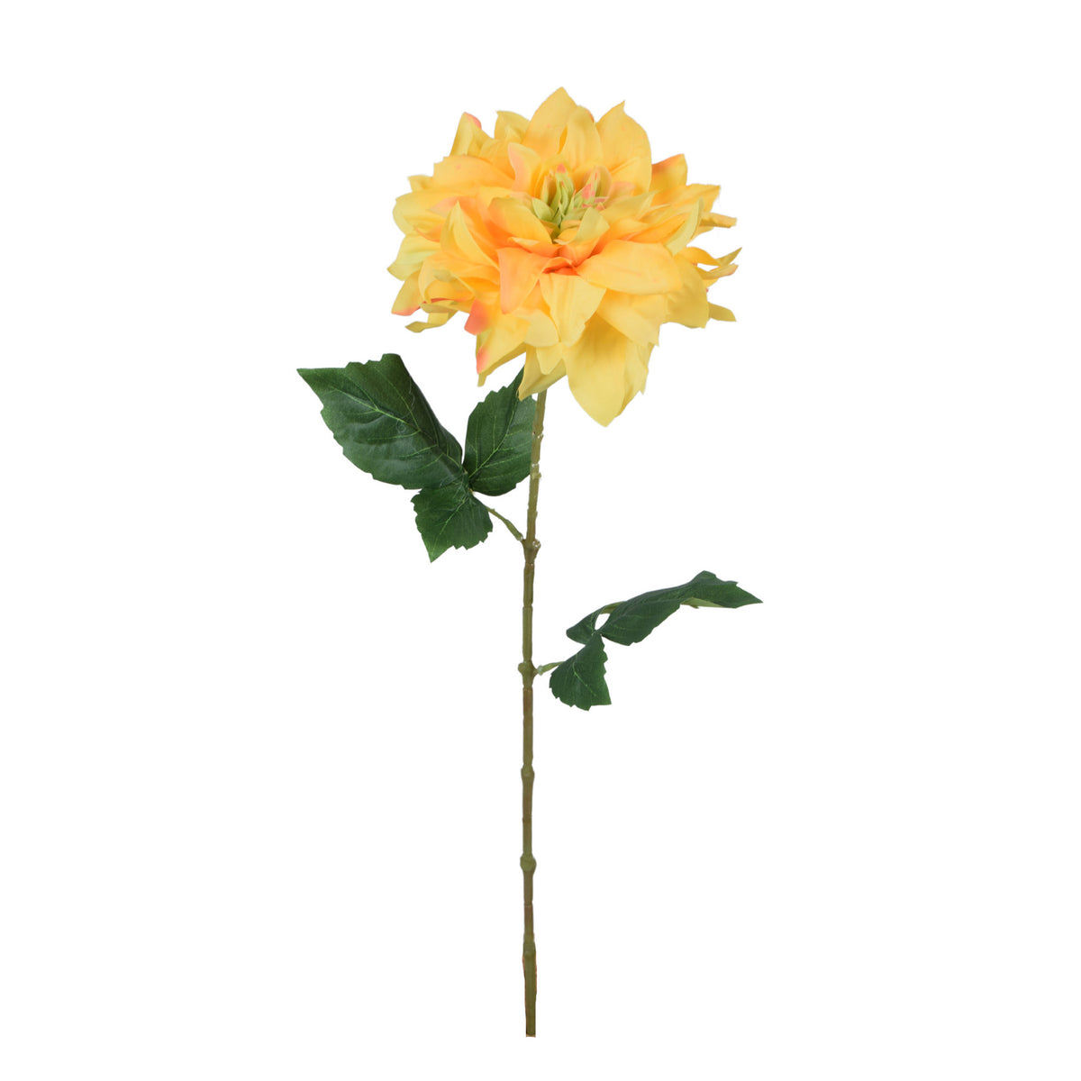 Tekodaalian kukkavarsi, 62 cm