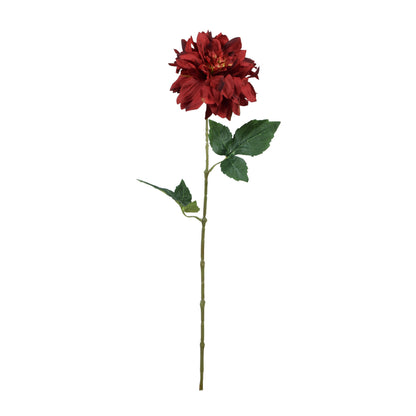 Tekodaalian kukkavarsi, 62 cm