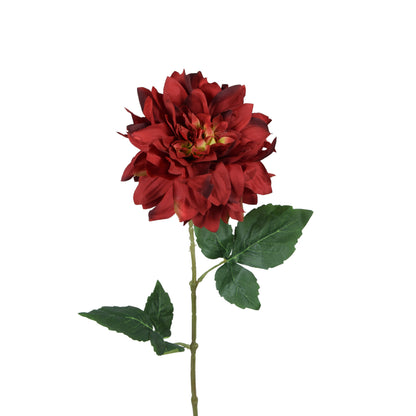 Tekodaalian kukkavarsi, 62 cm