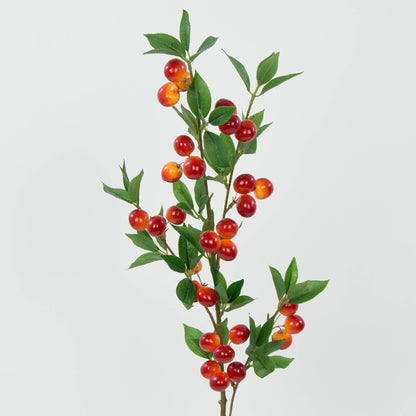 Tekokasvi, 2.5 cm