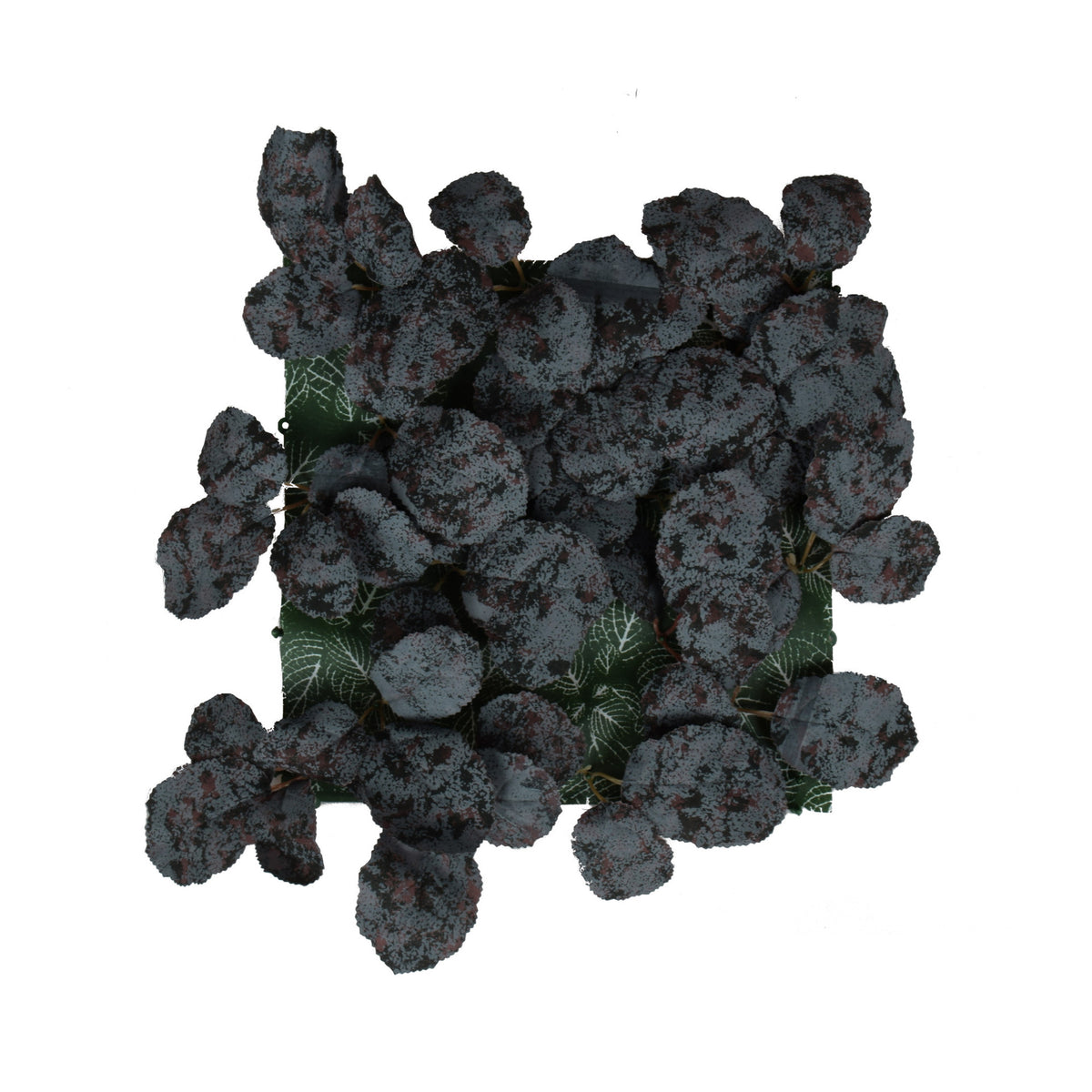 Tekokasvi, 25 cm