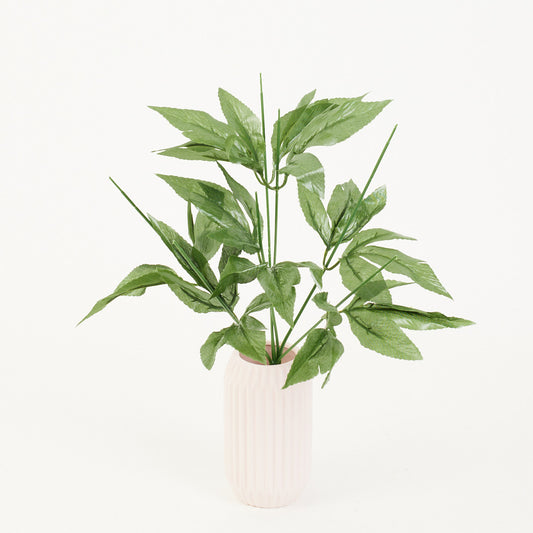 Tekokasvi, 43 cm