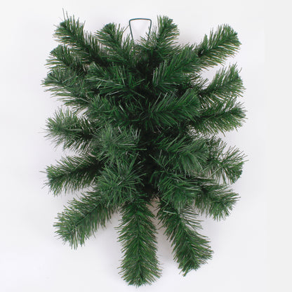Tekokasvi, 58 cm