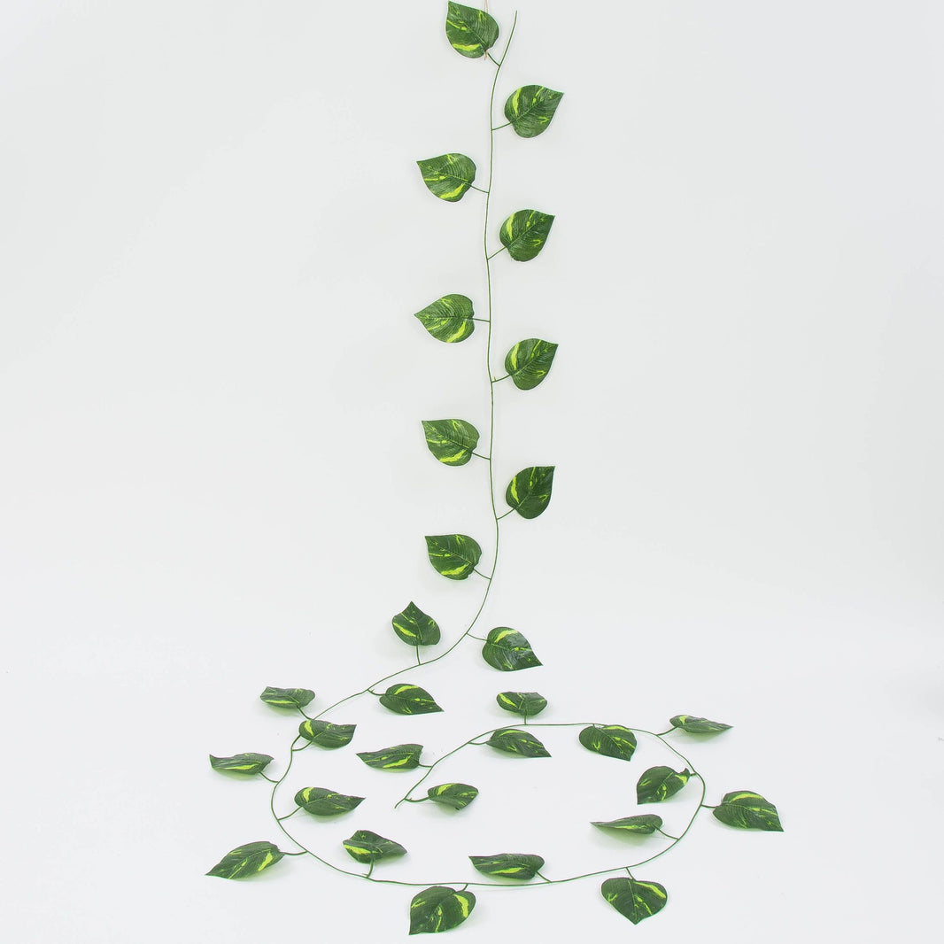 Tekoköynnös, 2.3 m