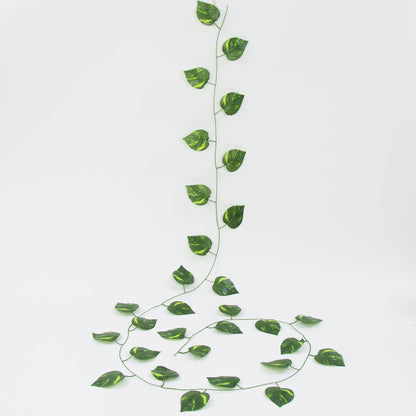Tekoköynnös, 2.3 m
