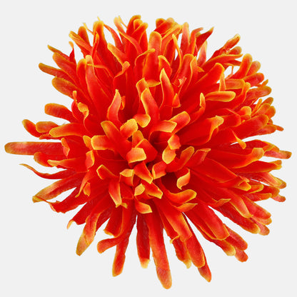 Tekokrysanteemin kukkapää, 13 cm