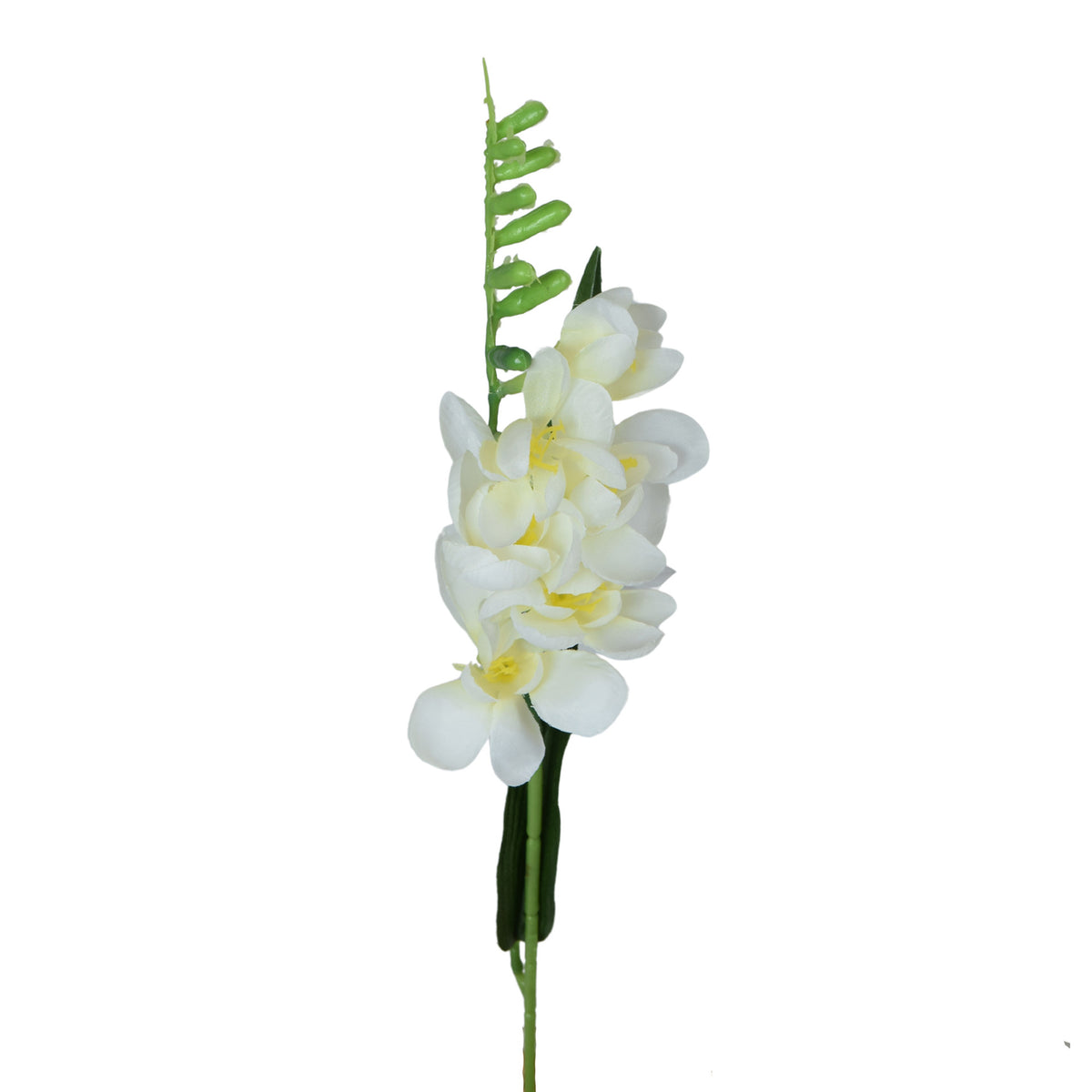 Tekokukka, 42 cm