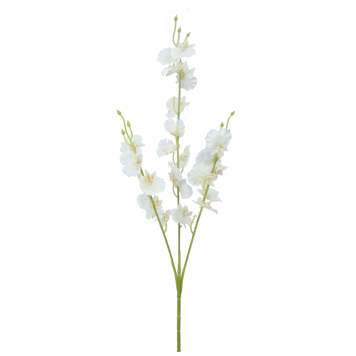 Tekokukka, 50 cm
