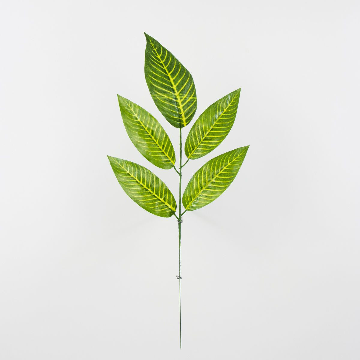Tekolehti, 12 kpl