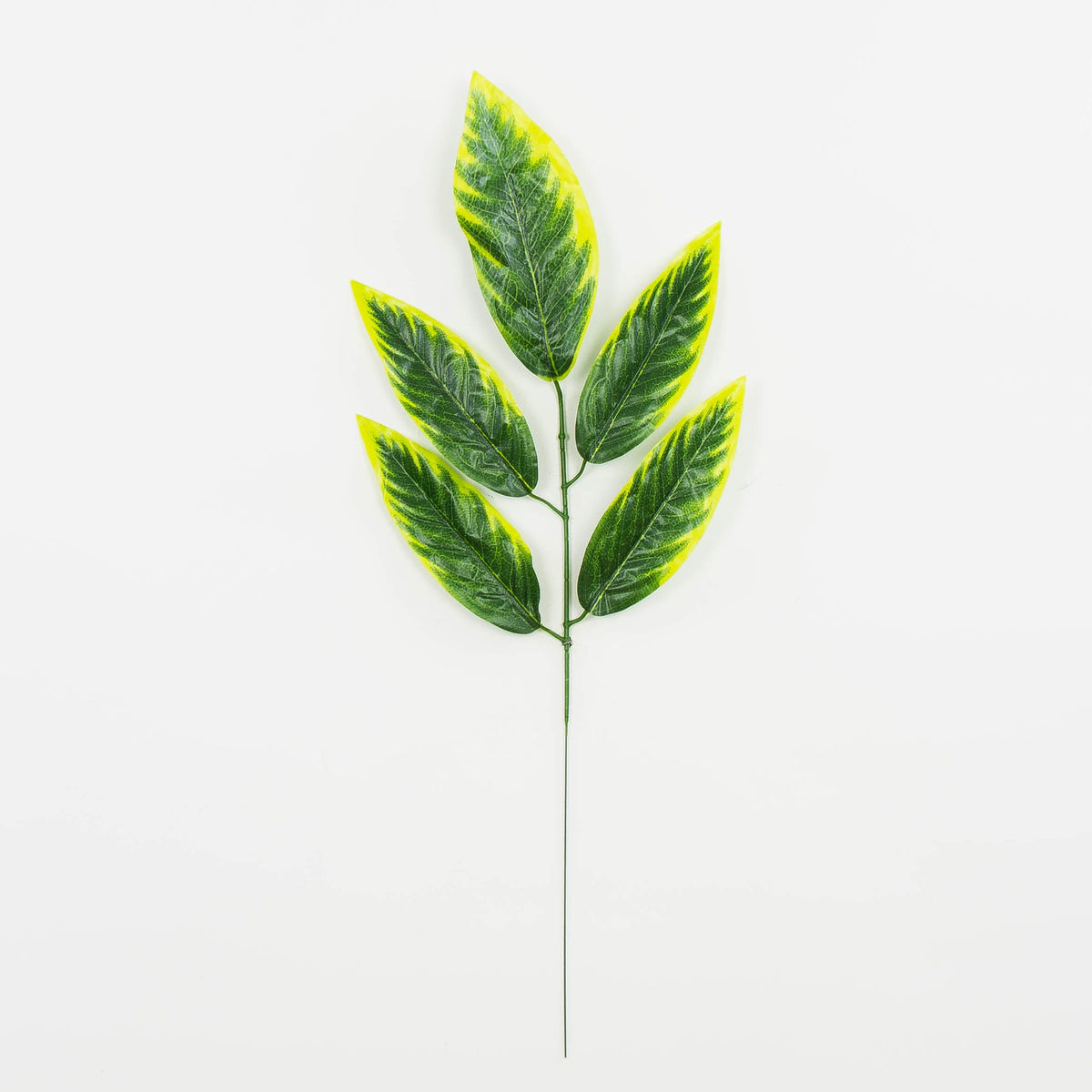 Tekolehti, 12 kpl