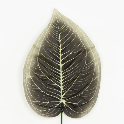 Tekolehti, 47 cm, 12 kpl